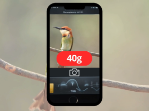 Conheça os aplicativos que permitem pesar animais com celular