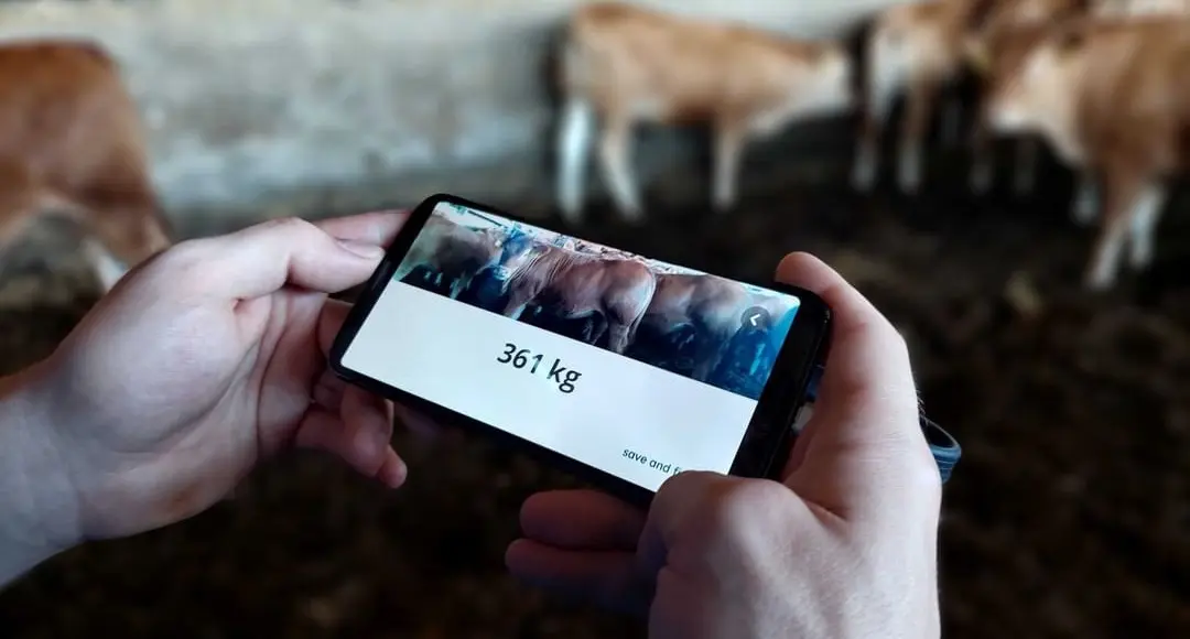 Aplikace Vážení zvířat pomocí mobilního telefonu